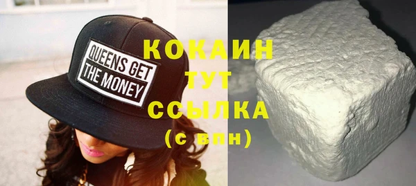 хмурый Аркадак