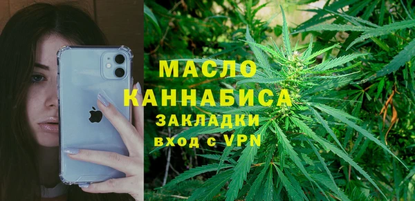 хмурый Аркадак