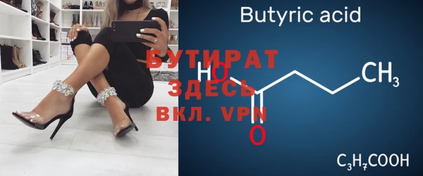 хмурый Аркадак