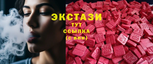 хмурый Аркадак