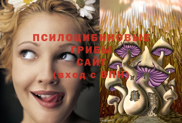 винт Арсеньев