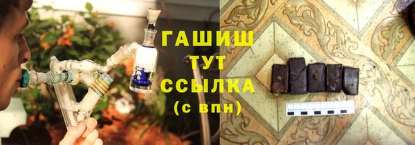 хмурый Аркадак
